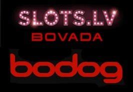 bodog lv.